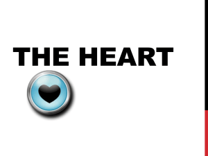 The Heart