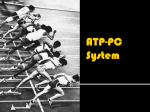 ATP-PC System - Teachnet UK-home