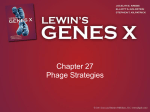Chapter 27 Phage Strategies