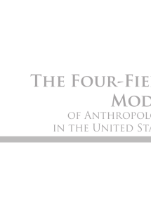 The Four-Field Model