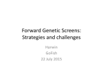 Forward Genetic Screens: Strategies and challenges