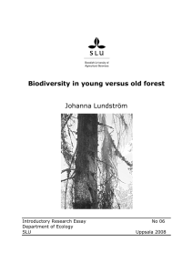 Biodiversity in young versus old forest Johanna Lundström
