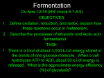 fermentation PP
