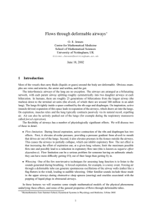 Flows through deformable airways