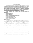 TYPES OF GENE ACTION The interaction with in alleles of gene