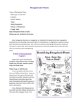 Types of Rangeland Plants