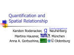 Quantification and spatial relationship