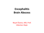 Acute Encephalitis