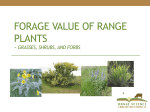 Forage Values of Range Plants
