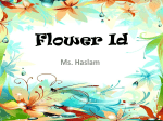 Flower Id