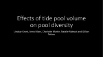 Do the physical dimensions of a tide pool affect the diversity of