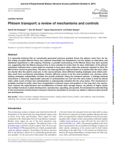 Phloem transport: A review of mechanisms and controls (PDF