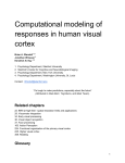 Computational modeling of responses in human visual