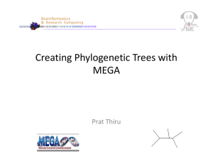Creating Phylogenetic Trees with MEGA