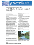 Lowland Darling River aquatic ecological community
