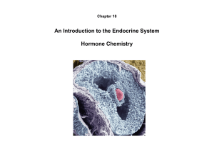 An Introduction to the Endocrine System Hormone Chemistry