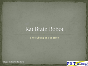 Rat Brain Robot