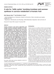 A role for `futile cycles` involving invertase and sucrose