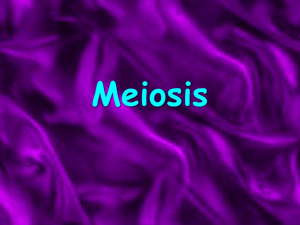 Meiosis - TGHSLevel1Science