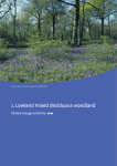1. Lowland mixed deciduous woodland