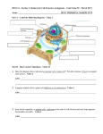 section_7-2_eukaryotic_cell_structure_assignment_value_50_2017