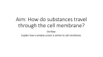 Aim: How do substances travel through the cell membrane?