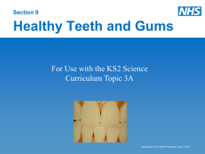Lesson 9 - Healthy Teeth Devon