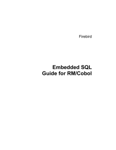 Embedded SQL Guide for RM/Cobol