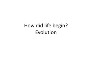 How did the life begin?