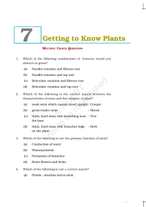 Getting to Know Plants