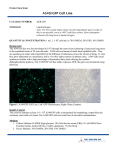 A549/GFP Cell Line - Cell Biolabs, Inc.