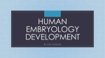 Human Embryology Development