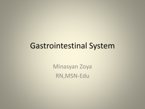 Gastrointestinal System