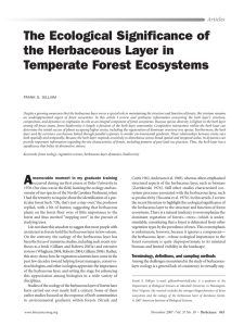 The Ecological Significance of the Herbaceous Layer in