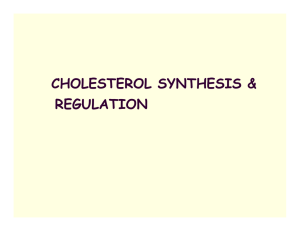 CHOLESTEROL SYNTHESIS