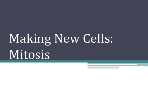 Making New Cells: Mitosis - Social Circle City Schools