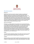 Mycoplasma Species Information Sheet