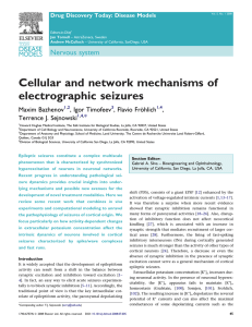 Cellular and network mechanisms of electrographic
