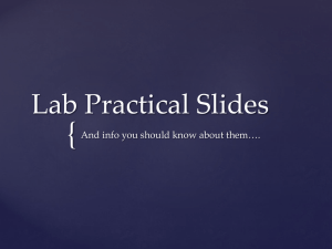 Lab Practical Slides