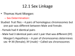 Morgan and Sex Linkage / Mutations