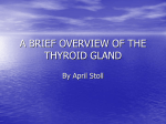 The Thyroid