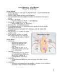 cancer biology notes