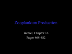 Zooplankton Production Notes
