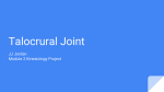 Talocrural Joint - Jonathan Jordan Fitness