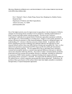 Mucosal Profiles of Resistance and Susceptibility to Flavobacterium