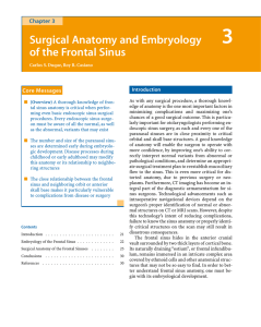 Surgical Anatomy and Embryology of the Frontal Sinus