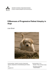 Differences of Progressive Retinal Atrophy in dogs