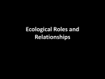 Ecological Roles and Relationships