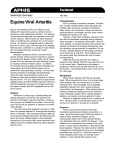 Equine viral arteritis (EVA)