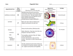cell organelle notes chart 2013 filled in